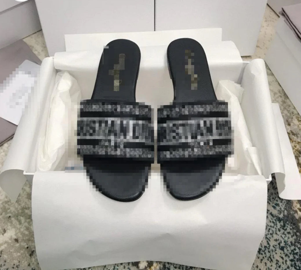 DS102DS