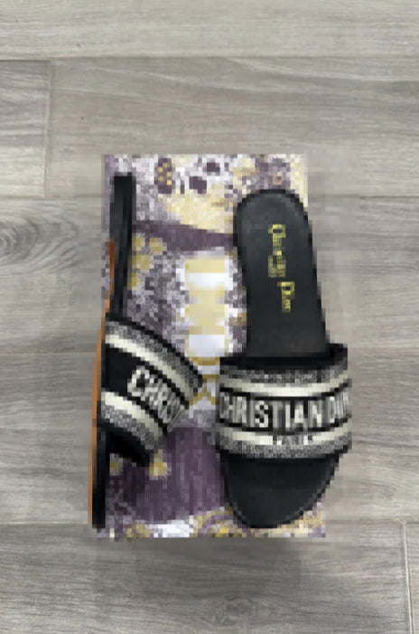 DS101DS