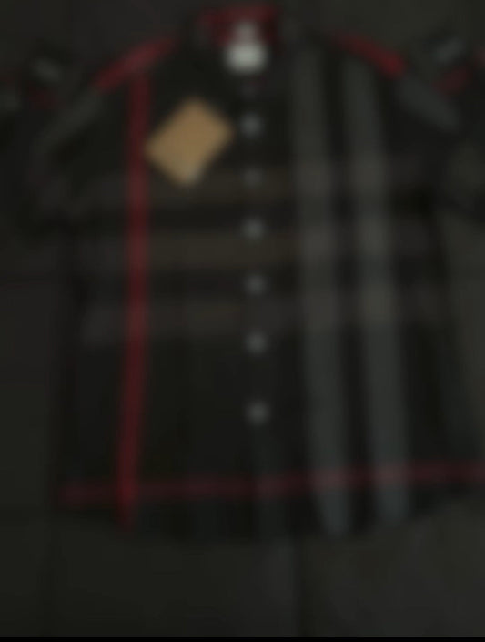 S113BBPLS